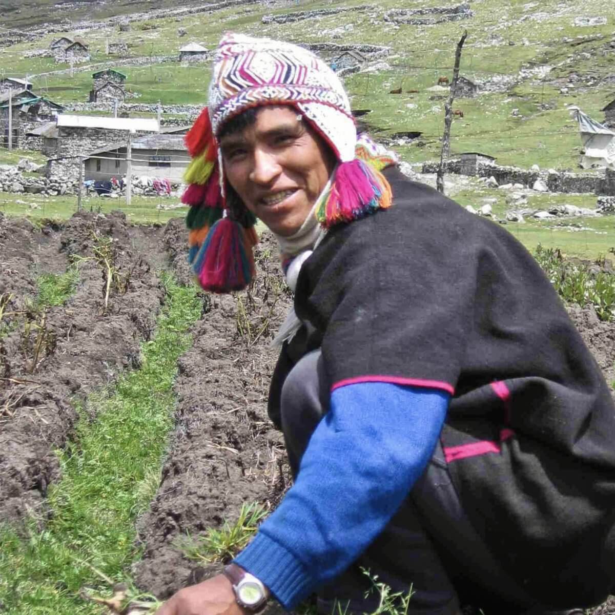 BIO Maca Kapseln mit BIO Acerola Pulver - Amazonas Naturprodukte Handels GmbH